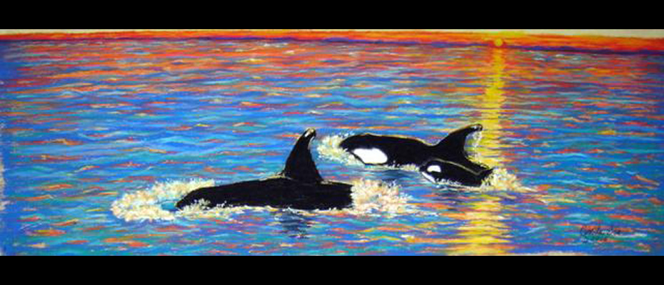 Orca_Sunset_feature